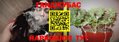 мяу мяу мука Краснознаменск