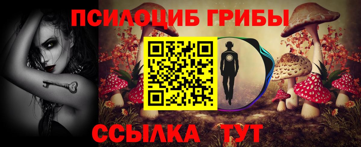 Кольчугино  Псилоцибиновые грибы Psilocybine cubensis  Вход с VPN 