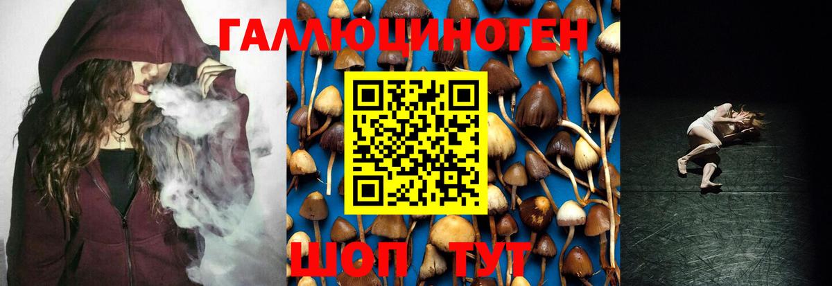 Псилоцибиновые грибы GOLDEN TEACHER Кольчугино